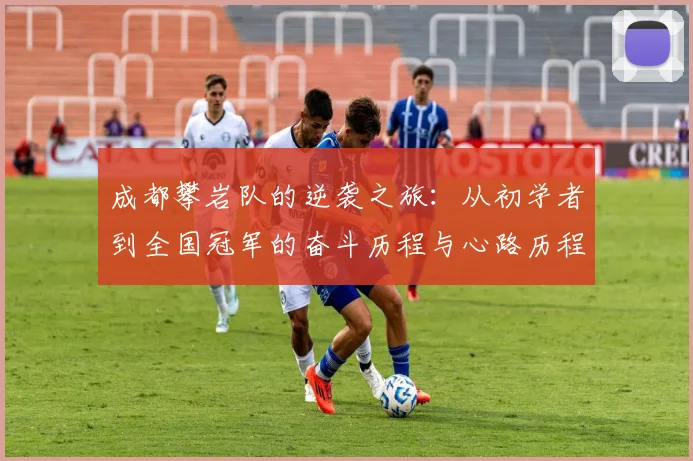 成都攀岩队的逆袭之旅：从初学者到全国冠军的奋斗历程与心路历程