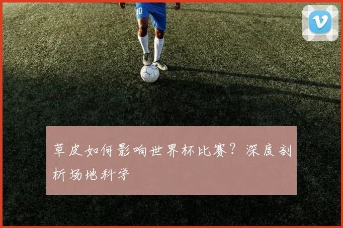 草皮如何影响世界杯比赛？深度剖析场地科学