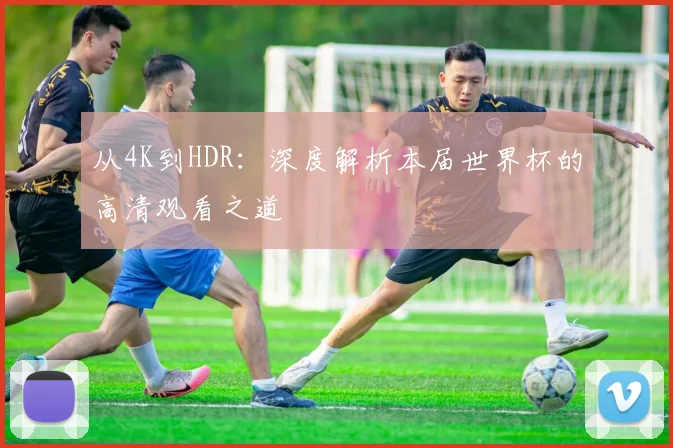 从4K到HDR：深度解析本届世界杯的高清观看之道