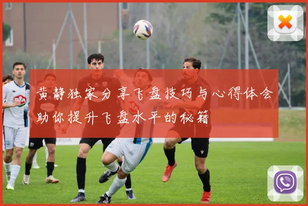 黄静独家分享飞盘技巧与心得体会助你提升飞盘水平的秘籍
